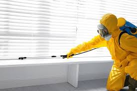 Best Termite Inspection and Treatment  in Remsenburg Speonk, NY